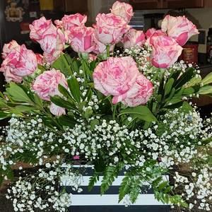 Meet your Posher, Mildred